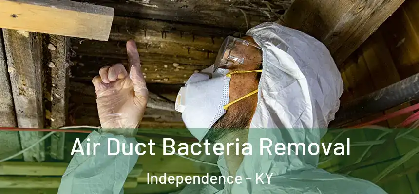  Air Duct Bacteria Removal Independence - KY