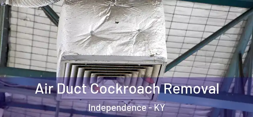  Air Duct Cockroach Removal Independence - KY