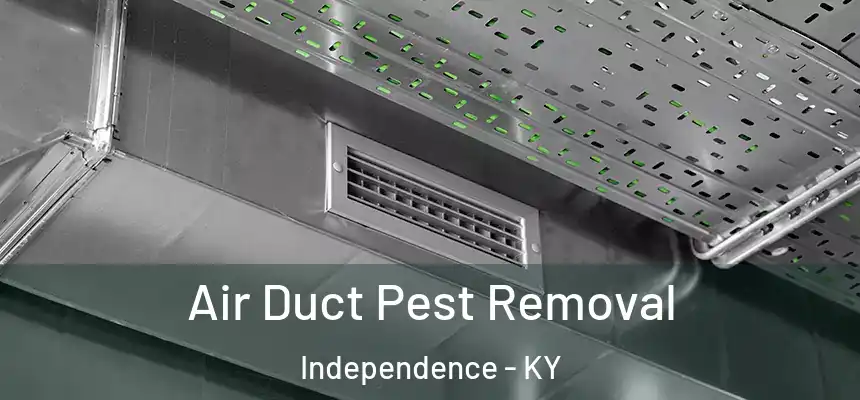  Air Duct Pest Removal Independence - KY