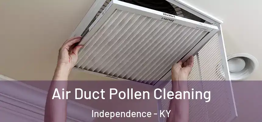  Air Duct Pollen Cleaning Independence - KY