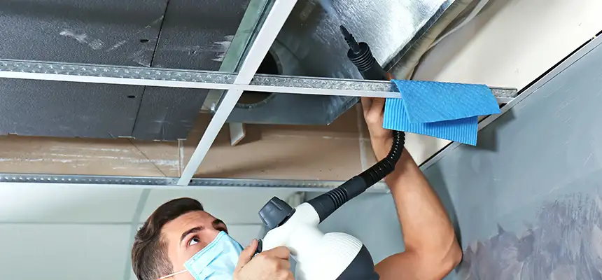 Our Air Duct Rodent Removal Services in Independence, KY