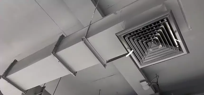 Our Pest Removal From Ducts Services in Independence, KY