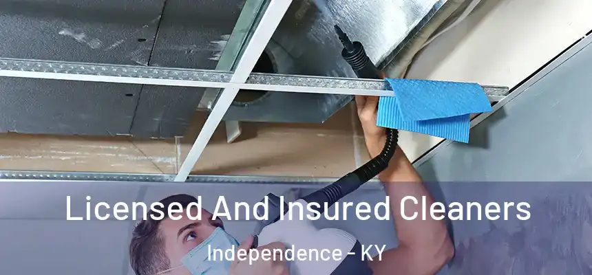  Licensed And Insured Cleaners Independence - KY