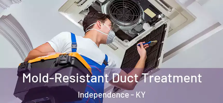  Mold-Resistant Duct Treatment Independence - KY