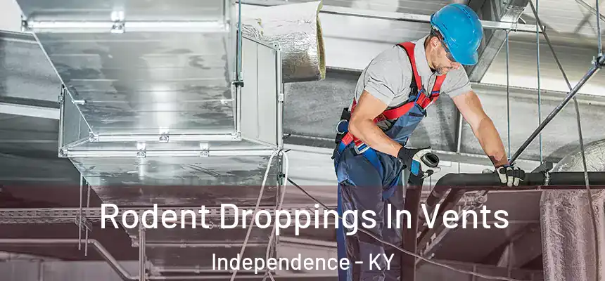  Rodent Droppings In Vents Independence - KY