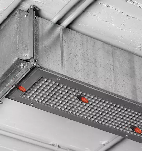About Air Duct Cockroach Removal in Independence, KY