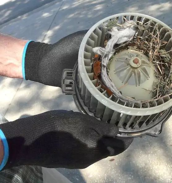 About Air Duct Mice Removal in Independence, KY