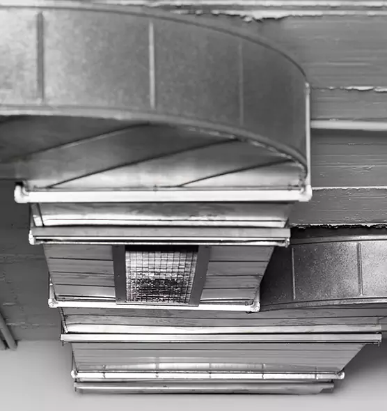 Professional Air Duct Pest Removal in Independence, KY