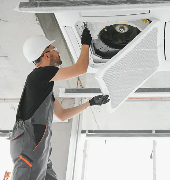 About Air Duct Rodent Removal in Independence, KY