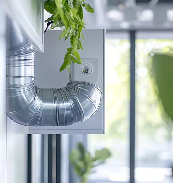 Professional Eco-Safe Dryer Vent Cleaning in Independence, KY