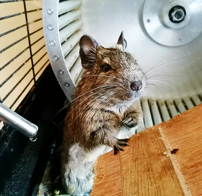 Why Homeowners & Businesses Trust Us Independence, KY?